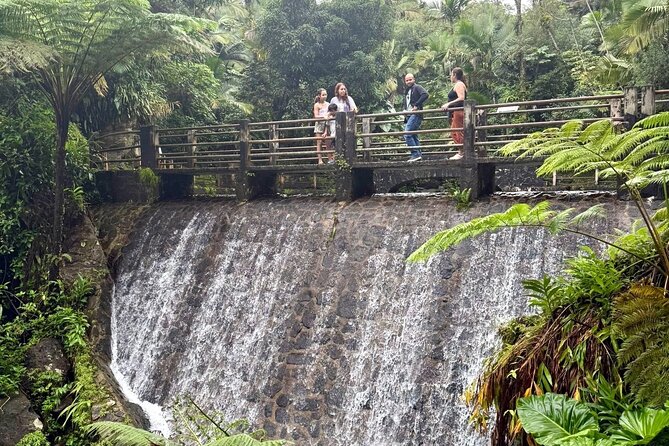 Discover El Yunque National Park: Half-Day Rainforest Tour - Who will get the most from this tour