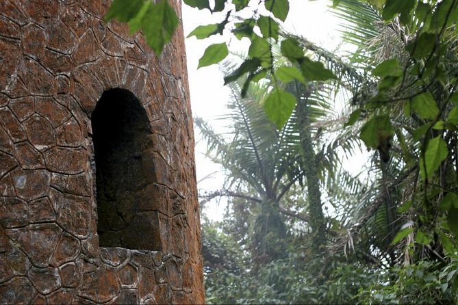 Discover El Yunque National Park: Half-Day Rainforest Tour - The ride from San Juan sets the pace