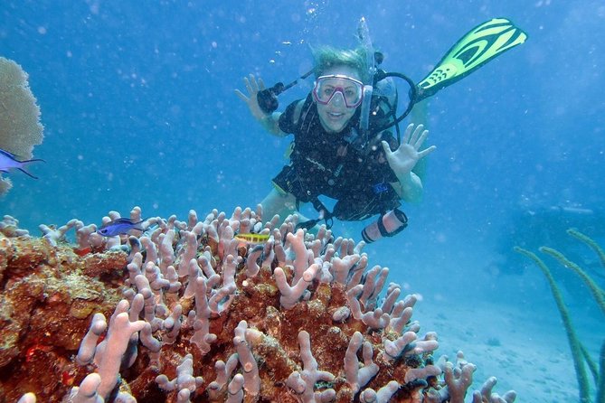 Discover Fajardo: 2-Tank Scuba Diving - Starting at Villa Marina at 7:30 a.m.
