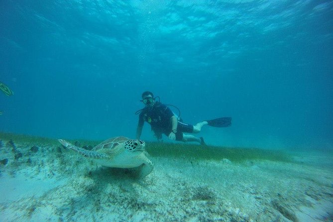 Discover Fajardo: 2-Tank Scuba Diving - The first reef session is personal training