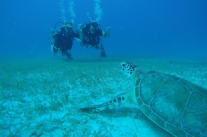 Discover Fajardo: 2-Tank Scuba Diving - What the staff does well