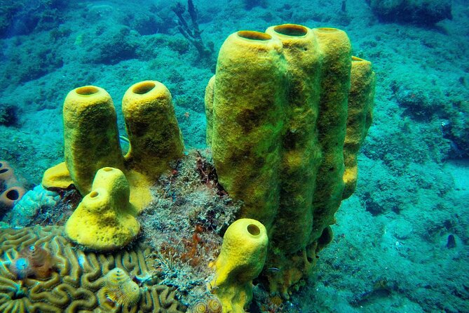 Discover Scuba Diving - Why the small group improves the experience