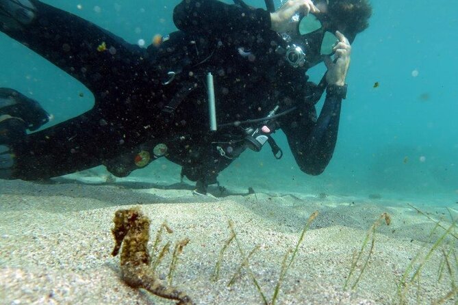 Discover Scuba Diving in San Juan - The safety lesson and equipment setup