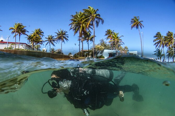 Discover Scuba Diving in San Juan - About 45 minutes exploring the protected bay