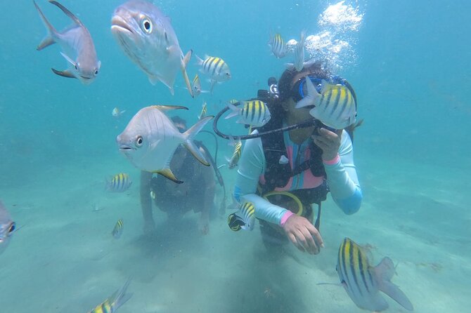 Discover Scuba Diving in San Juan: Perfect for First-Time Divers - Key points to know before booking