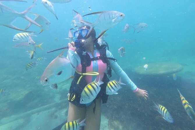Discover Scuba Diving in San Juan: Perfect for First-Time Divers - A gentle first step into scuba