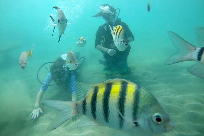 Discover Scuba Diving in San Juan: Perfect for First-Time Divers - Who will enjoy this most?