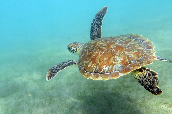 Discover Scuba Diving in San Juan - Getting started at the Scuba Dogs counter