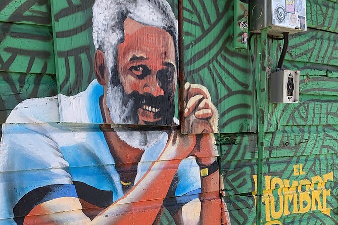 Discovering Puerto Rico: Lifestyle, Art, and Cultural Tour - Santurce murals: the most focused walking section