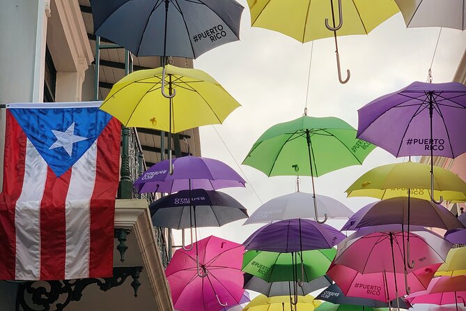 Discovering Puerto Rico: Lifestyle, Art, and Cultural Tour - The guide makes the difference