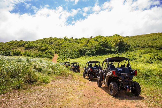 Dos Mares and Rainforest UTV Adventure Tour in Fajardo - A fast way to see Fajardo’s wild east
