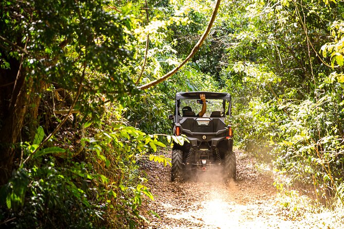 Dos Mares and Rainforest UTV Adventure Tour in Fajardo - What the driving is actually like