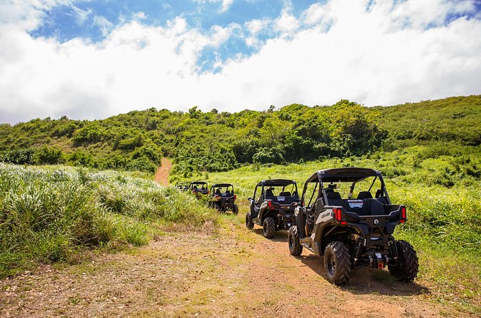 Dos Mares and Rainforest UTV Adventure Tour in Fajardo - Is $194 good value for one hour?
