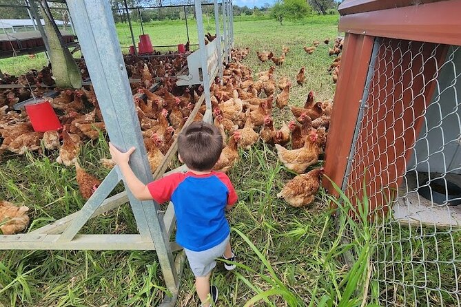 Eco Friendly Farming Tour to Explore Dorado's Most Beautiful Farm - Meeting José Luis at the farm store