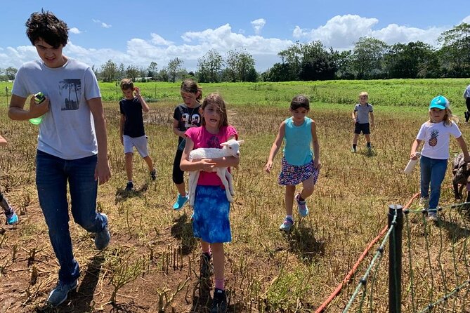 Eco Friendly Farming Tour to Explore Dorado's Most Beautiful Farm - What to wear for Puerto Rico’s farm paths