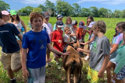 Eco Friendly Farming Tour to Explore Dorado’s Most Beautiful Farm