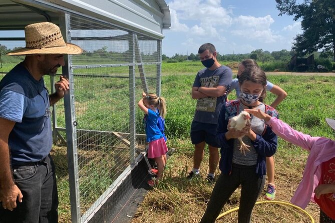 Eco Friendly Farming Tour to Explore Dorado's Most Beautiful Farm - Farm store, pizza, juices, and gelato