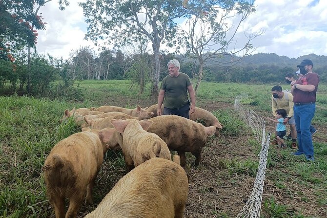 Eco Friendly Farming Tour to Explore Dorado's Most Beautiful Farm - Is $20 a good value?