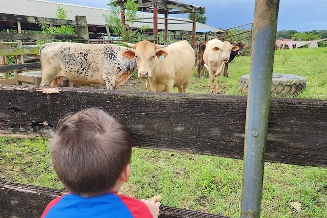 Eco Friendly Farming Tour to Explore Dorado's Most Beautiful Farm - Who will enjoy Finca Pastoreo most?