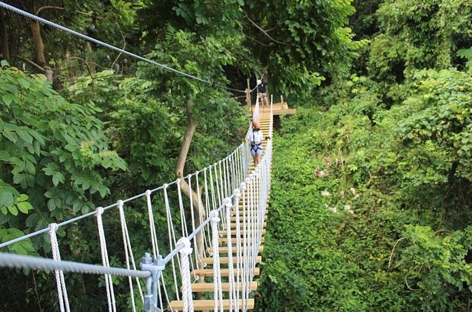 El Yunque Adventure Trail - Why the guides matter here