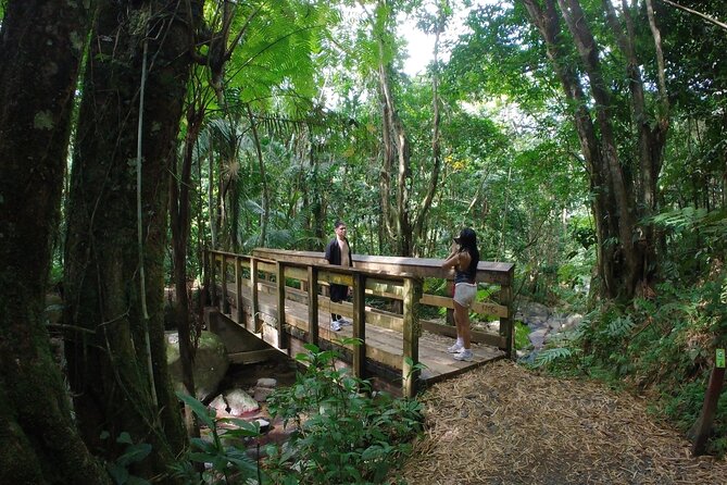 El Yunque Beach Jetski + Rainforest Hike Adventure Tour - Starting on the water near Río Grande