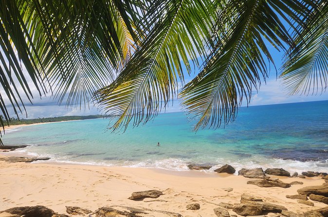 El Yunque & Beach Tour: Waterslide, Waterfall, Food, & Photos - Private transport and the $130 price