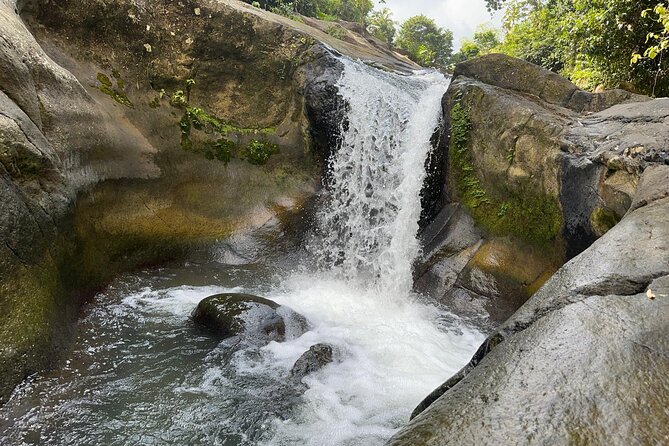 El Yunque & Beach Tour: Waterslide, Waterfall, Food, & Photos - What the five-minute walk means for you