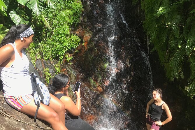 El Yunque Hike Adventure to Las Tinajas Waterfall from Fajardo - A hands-on way to experience El Yunque