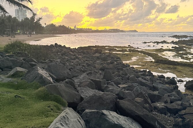 El Yunque Hike, Waterslide & Luquillo Kiosks Food with Transport - What the guide adds to a small group