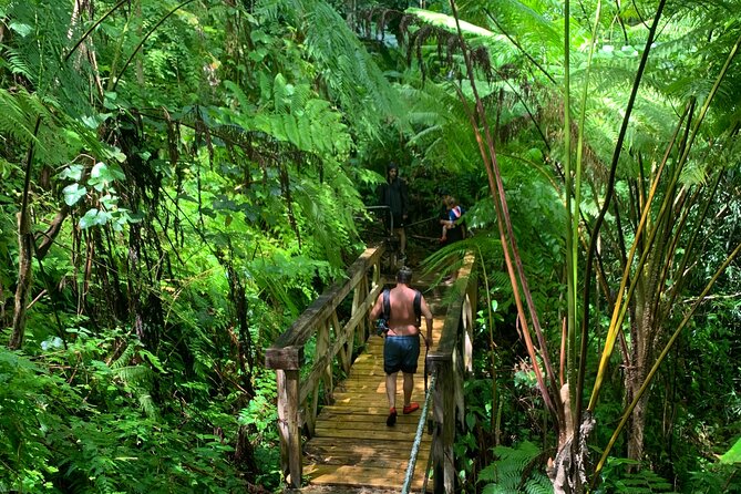 El Yunque National Forest and Luquillo Beach Combo - Key points at a glance