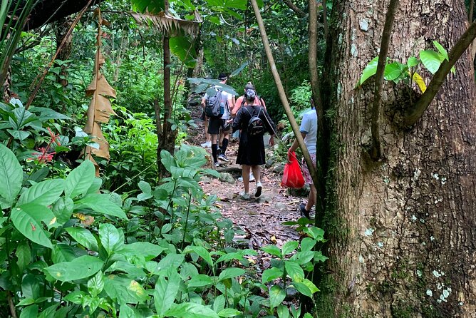 El Yunque National Forest and Luquillo Beach Combo - La Coca Falls in a short, easy visit