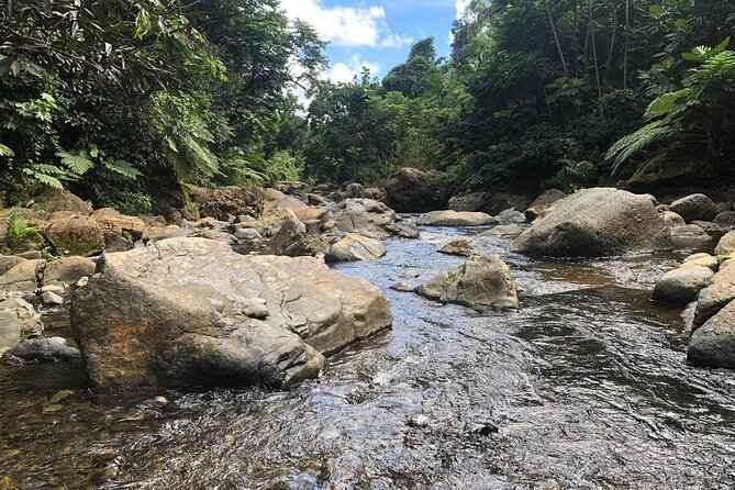 El Yunque National Forest and Luquillo Beach Combo - The Mameyes River is the day’s main adventure
