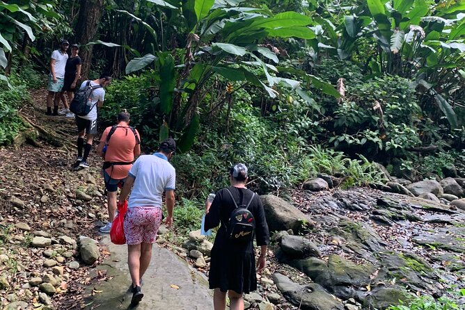El Yunque National Forest and Luquillo Beach Combo - Yokahú Tower: the best first view
