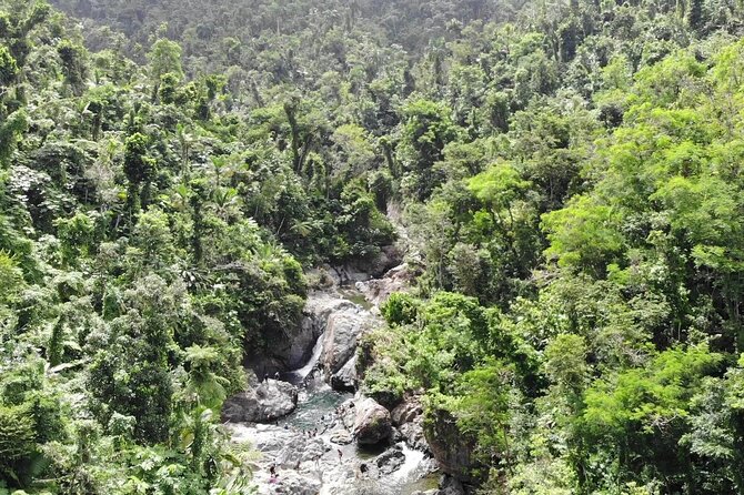 El Yunque National Forest and Luquillo Beach Tour - The walk to Puente Roto and the river