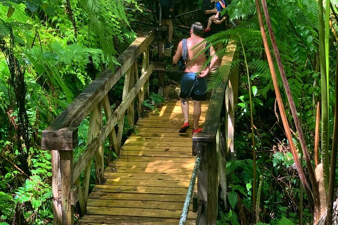 El Yunque National Forest and Luquillo Beach Tour - Who will like this tour most