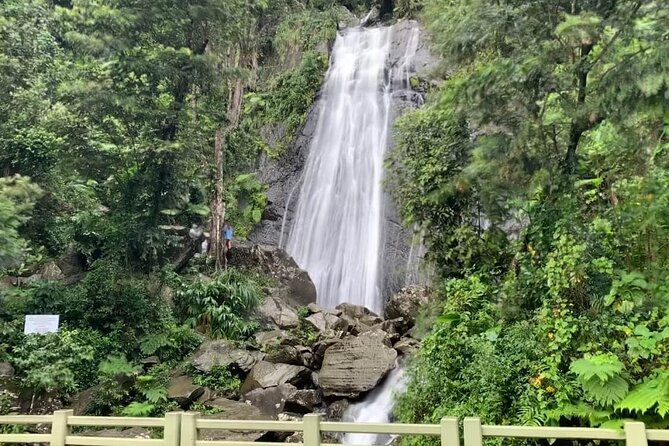 El Yunque National Forest and Luquillo Beach Tour - La Coca Falls, a quick waterfall stop