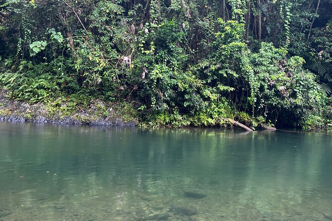 El Yunque National Forest Guided Tour with Transport - Why the guide can make or break the day