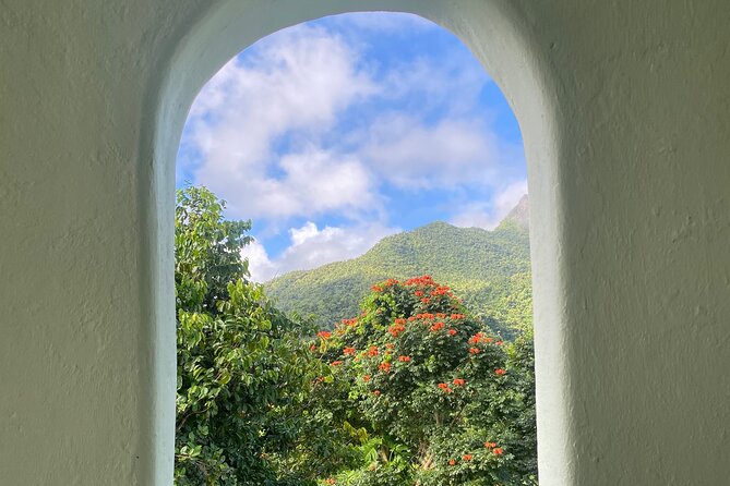 El Yunque National Forest Guided Tour with Transport - Fitness, weather, and what to pack