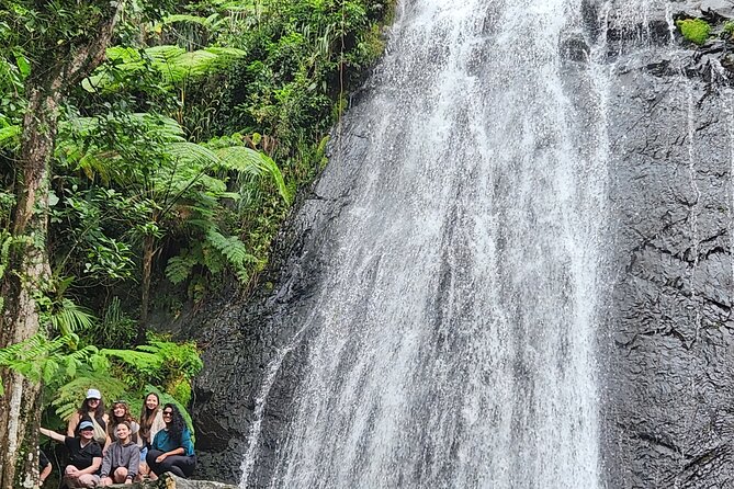 El Yunque National Rainforest and Luquillo Beach Tour - Reaching El Yunque From San Juan