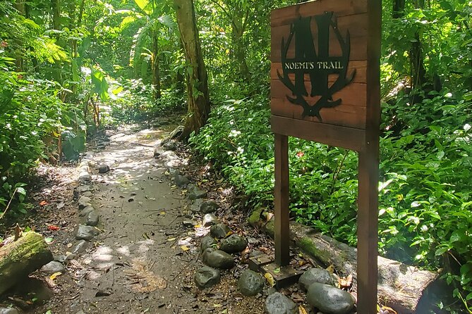El Yunque National Rainforest and Luquillo Beach Tour - La Coca Falls in a Short, Easy Stop