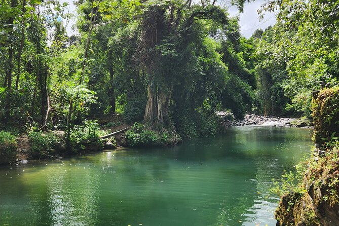 El Yunque National Rainforest and Luquillo Beach Tour - Luquillo Beach and the Kiosks