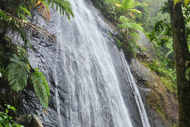 El Yunque National Rainforest and Luquillo Beach Tour - Yokahu Tower and the High Forest Views
