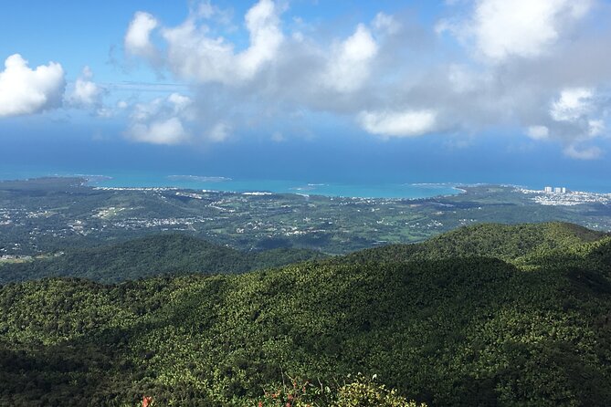 El Yunque Rainforest EZ-going Bus Tour (wheelchair accessible) - Why this El Yunque tour works for an easy day