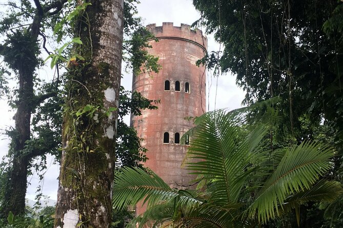 El Yunque Rainforest EZ-going Bus Tour (wheelchair accessible) - Yokahu Tower gives you the widest view