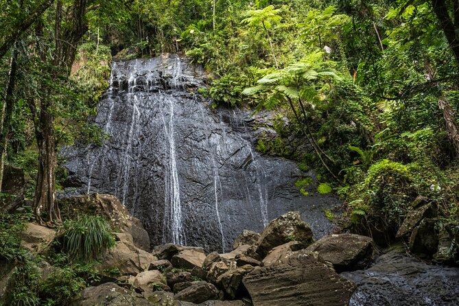 El Yunque Rainforest EZ-going Bus Tour (wheelchair accessible) - Baño Grande adds a quieter historical note