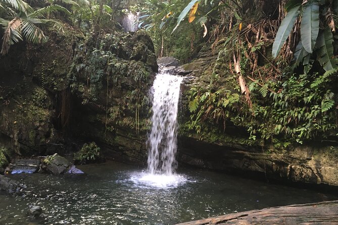 El Yunque Rainforest EZ-going Bus Tour (wheelchair accessible) - Luquillo is where the day turns to food