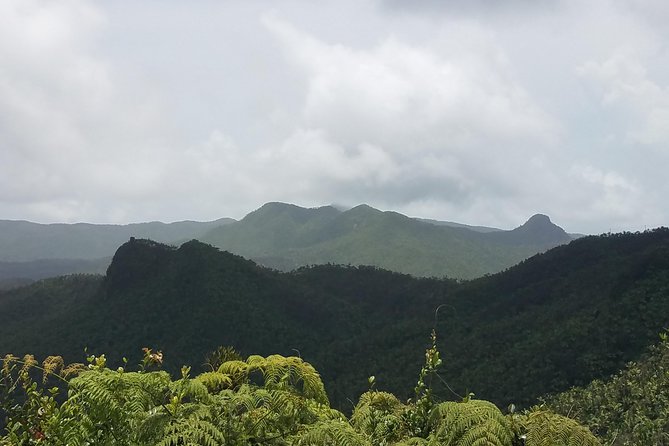 El Yunque Rainforest Full Day Private Tour - La Coca Falls: a short stop with a big payoff