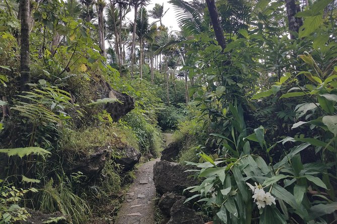 El Yunque Rainforest Full Day Private Tour - Yokahu Tower and the view above the trees