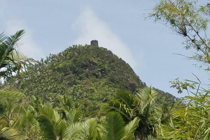 El Yunque Rainforest Full Day Private Tour - How the seven-hour schedule feels