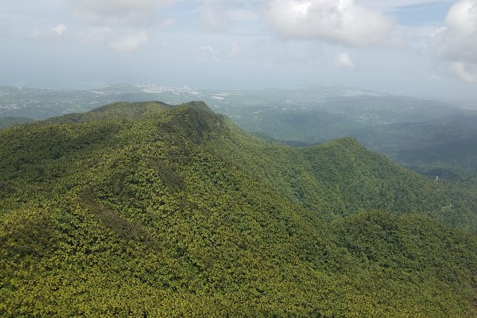 El Yunque Rainforest Full Day Private Tour - Food, water, and what you should bring